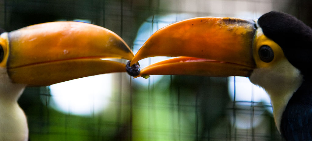 Social Media Engagement